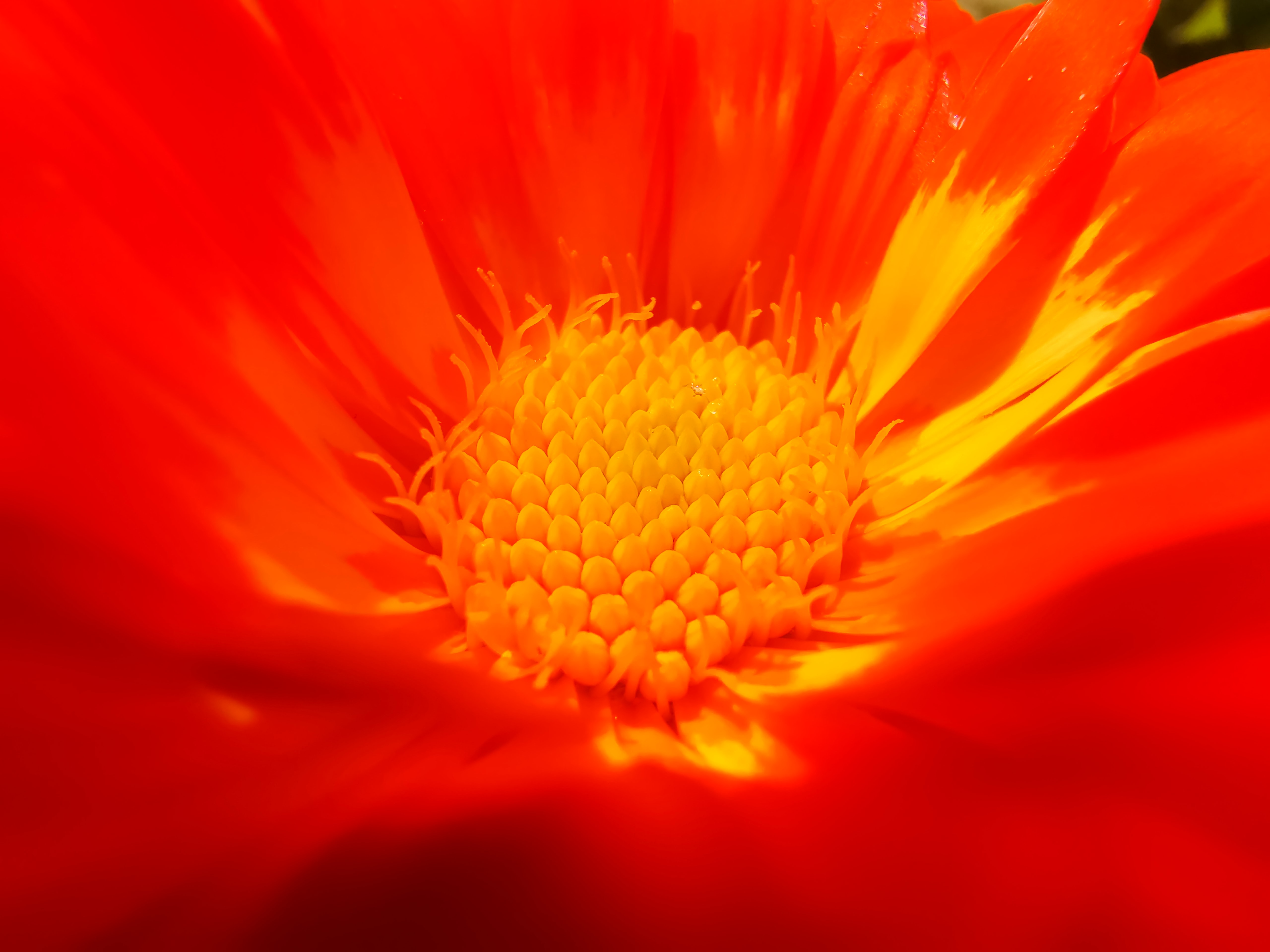 1587354930946083501.jpg 2.jpg